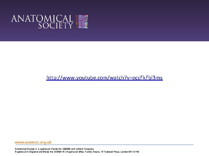 http: //www. youtube. com/watch? v=occ. Fk. Fbl 3 ms www. anatsoc. org. uk Anatomical