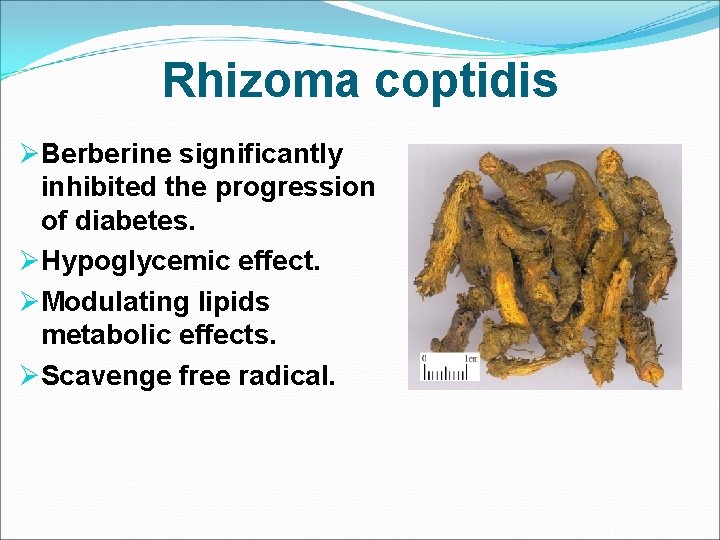 Rhizoma coptidis ØBerberine significantly inhibited the progression of diabetes. ØHypoglycemic effect. ØModulating lipids metabolic