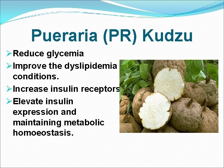 Pueraria (PR) Kudzu ØReduce glycemia ØImprove the dyslipidemia conditions. ØIncrease insulin receptors. ØElevate insulin