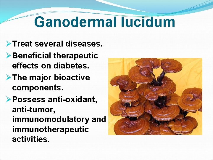 Ganodermal lucidum ØTreat several diseases. ØBeneficial therapeutic effects on diabetes. ØThe major bioactive components.