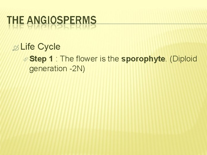  Life Cycle Step 1 : The flower is the sporophyte. (Diploid generation -2