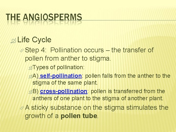  Life Cycle Step 4: Pollination occurs – the transfer of pollen from anther