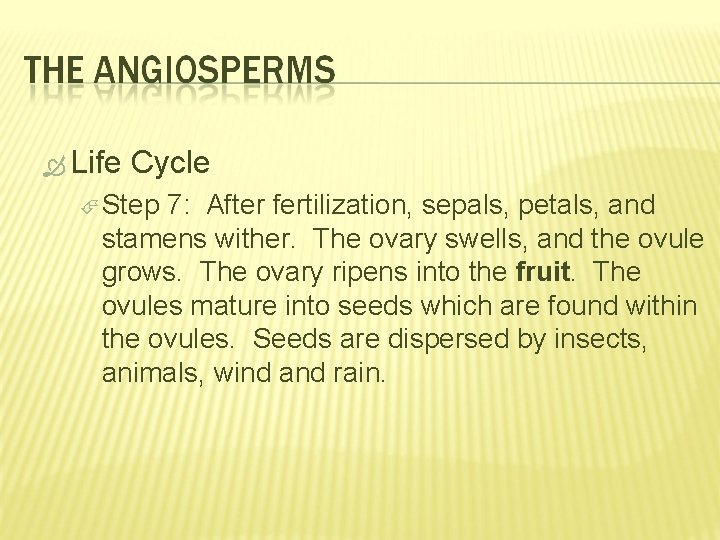  Life Cycle Step 7: After fertilization, sepals, petals, and stamens wither. The ovary
