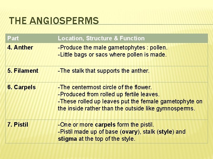 THE ANGIOSPERMS Part Location, Structure & Function 4. Anther -Produce the male gametophytes :