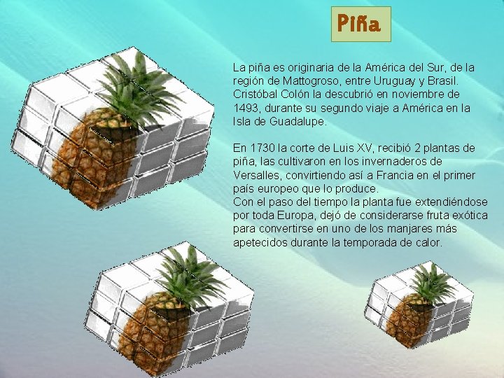 Piña La piña es originaria de la América del Sur, de la región de