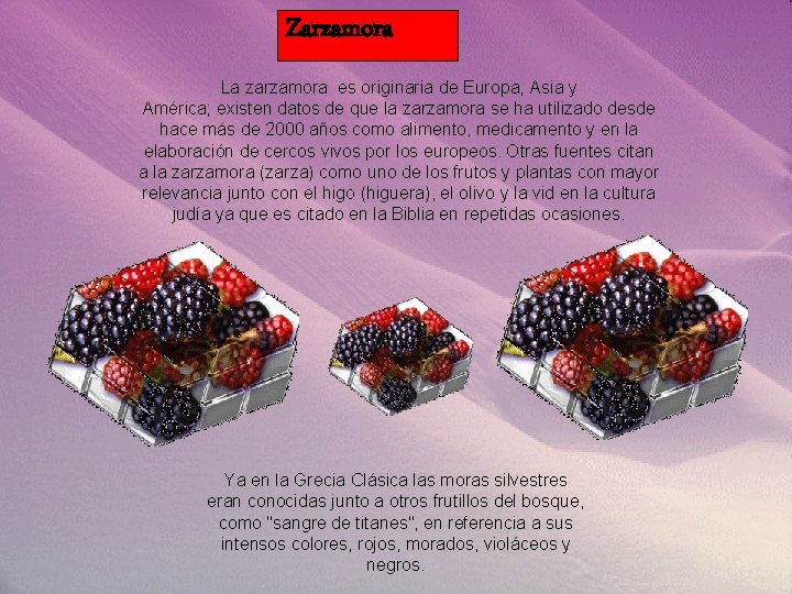 Zarzamora La zarzamora es originaria de Europa, Asia y América; existen datos de que
