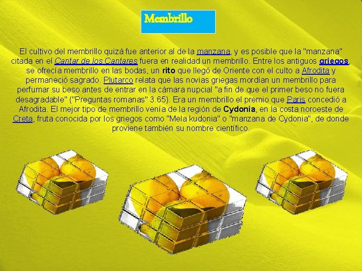 Membrillo El cultivo del membrillo quizá fue anterior al de la manzana, y es