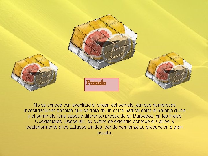 Pomelo No se conoce con exactitud el origen del pomelo, aunque numerosas investigaciones señalan