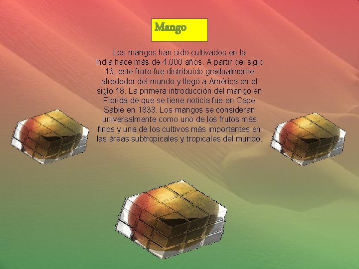Mango Los mangos han sido cultivados en la India hace más de 4. 000
