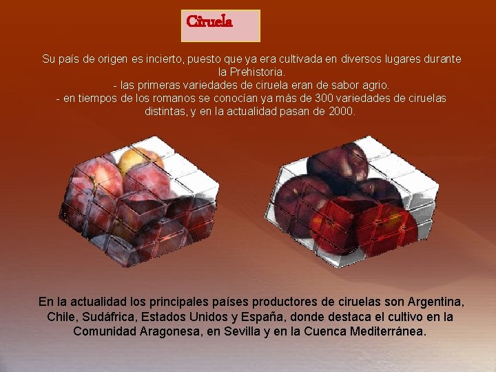 Ciruela Su país de origen es incierto, puesto que ya era cultivada en diversos