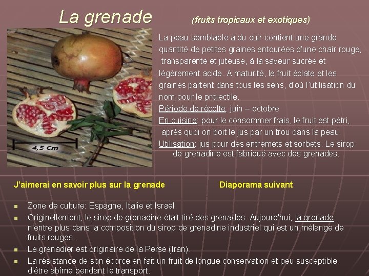 La grenade (fruits tropicaux et exotiques) La peau semblable à du cuir contient une