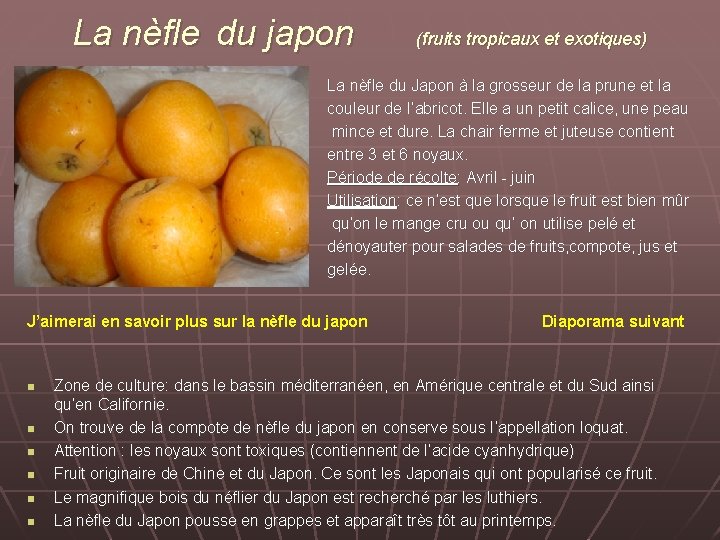 La nèfle du japon (fruits tropicaux et exotiques) La nèfle du Japon à la