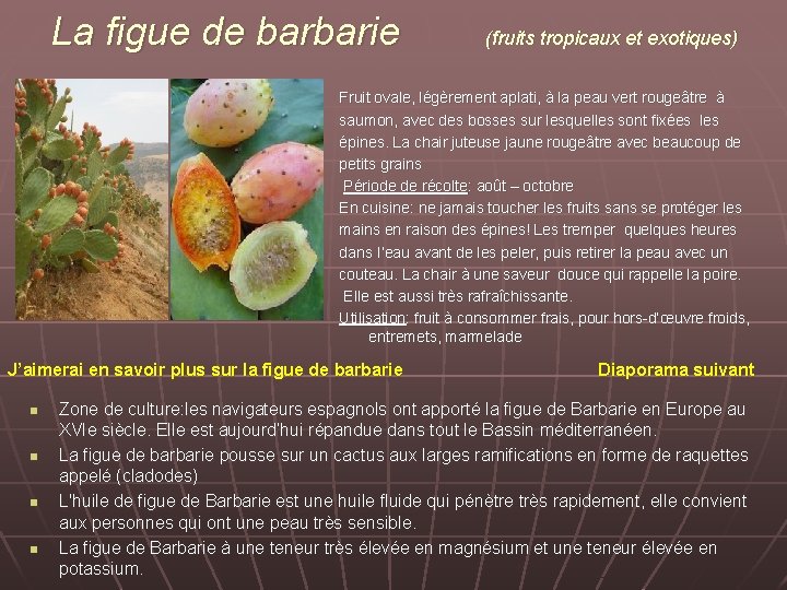 La figue de barbarie (fruits tropicaux et exotiques) Fruit ovale, légèrement aplati, à la