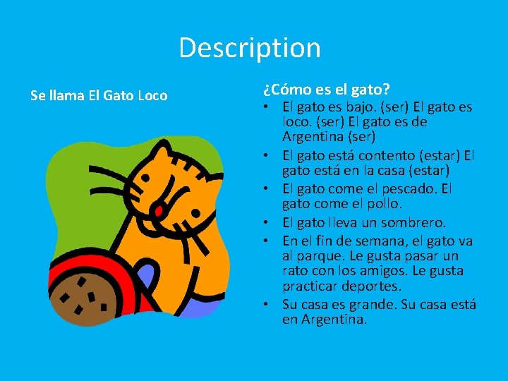 Description Se llama El Gato Loco ¿Cómo es el gato? • El gato es