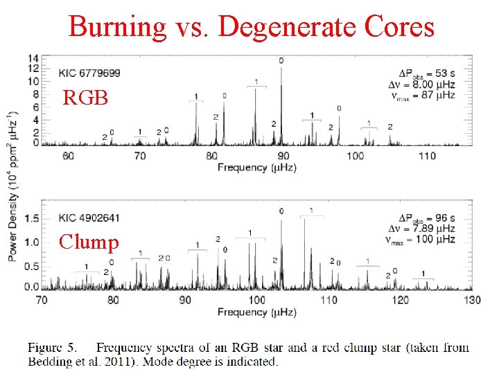Burning vs. Degenerate Cores RGB Clump 
