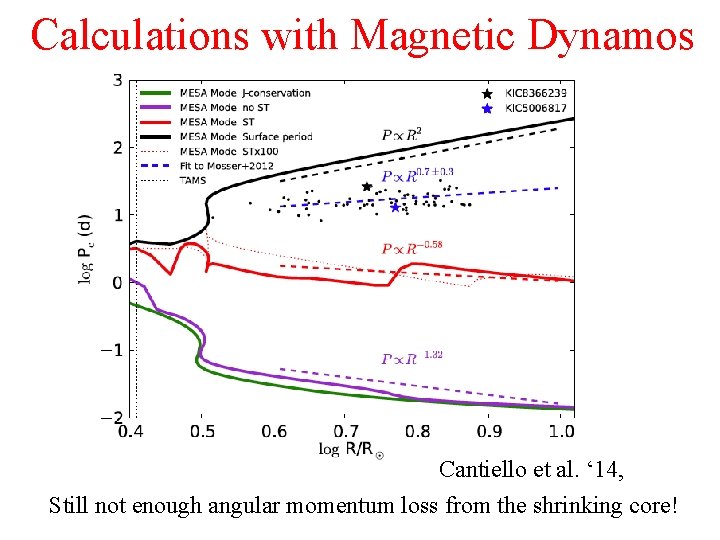 Calculations with Magnetic Dynamos Cantiello et al. ‘ 14, Still not enough angular momentum