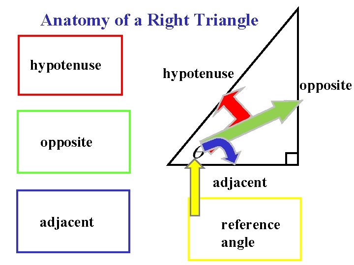 Anatomy of a Right Triangle hypotenuse opposite adjacent reference angle opposite 