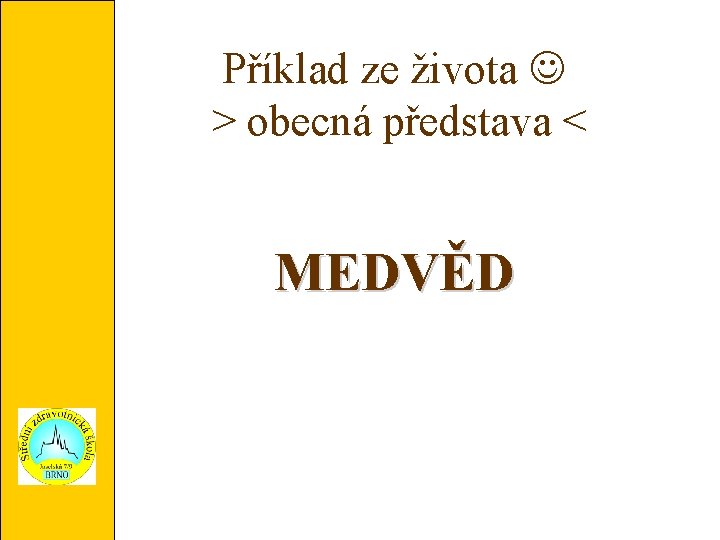 Příklad ze života > obecná představa < MEDVĚD 