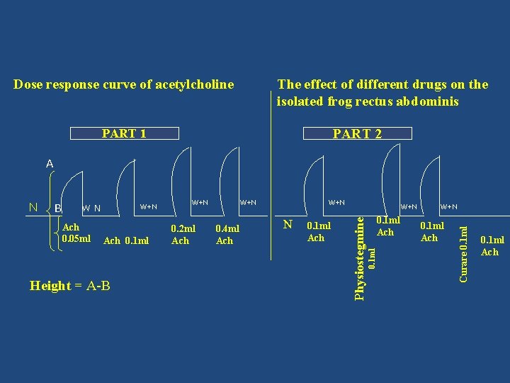 The effect of different drugs on the isolated frog rectus abdominis Dose response curve