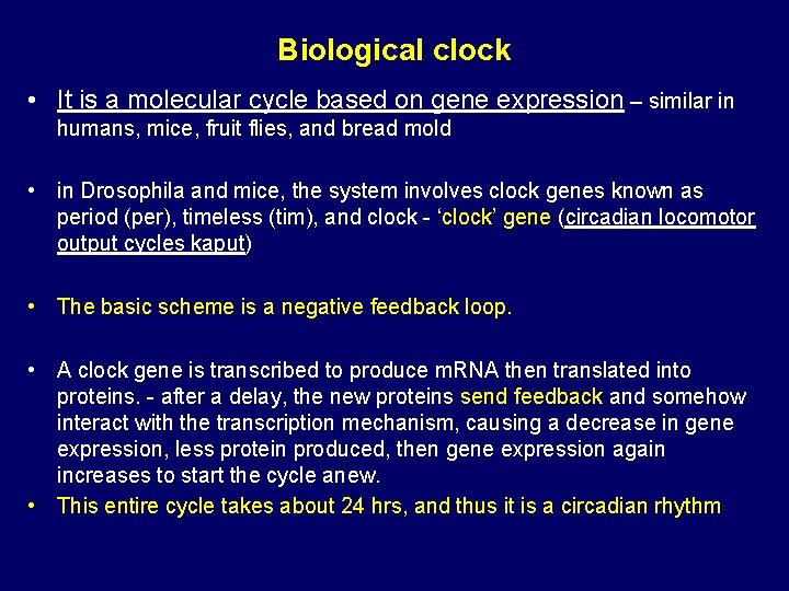 Biological clock • It is a molecular cycle based on gene expression – similar