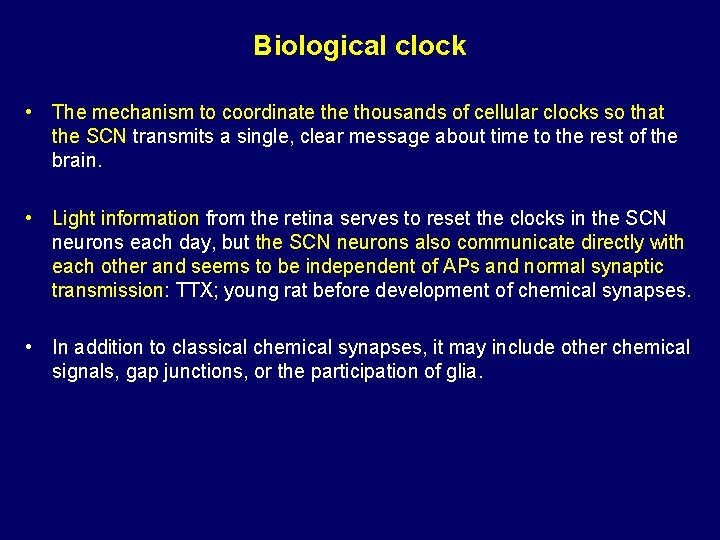 Biological clock • The mechanism to coordinate thousands of cellular clocks so that the