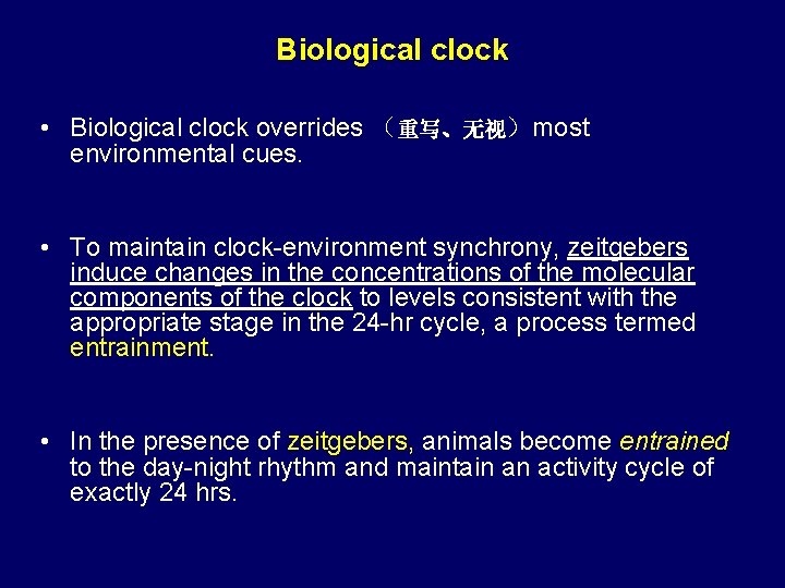 Biological clock • Biological clock overrides （重写、无视）most environmental cues. • To maintain clock-environment synchrony,