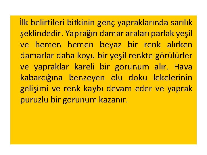 İlk belirtileri bitkinin genç yapraklarında sarılık şeklindedir. Yaprağın damar araları parlak yeşil ve hemen