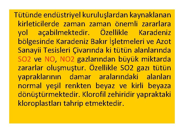 Tütünde endüstriyel kuruluşlardan kaynaklanan kirleticilerde zaman önemli zararlara yol açabilmektedir. Özellikle Karadeniz bölgesinde Karadeniz