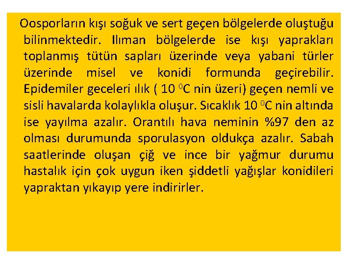 Oosporların kışı soğuk ve sert geçen bölgelerde oluştuğu bilinmektedir. Ilıman bölgelerde ise kışı yaprakları