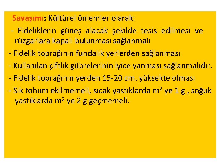 Savaşımı: Kültürel önlemler olarak: - Fideliklerin güneş alacak şekilde tesis edilmesi ve rüzgarlara kapalı