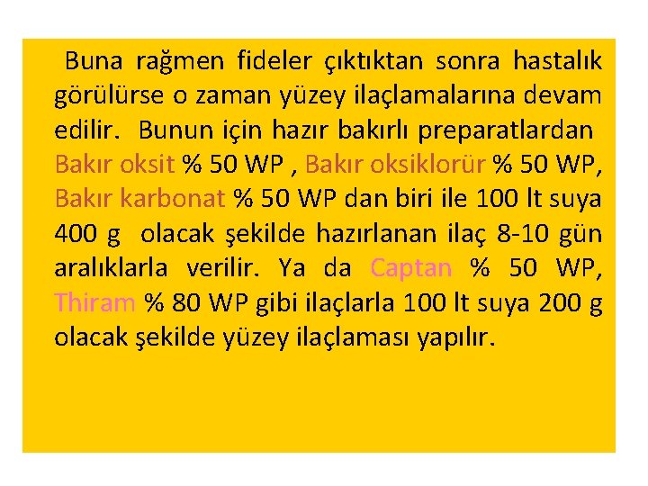 Buna rağmen fideler çıktıktan sonra hastalık görülürse o zaman yüzey ilaçlamalarına devam edilir. Bunun