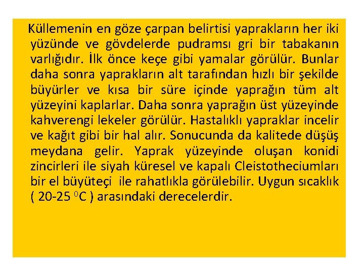 Küllemenin en göze çarpan belirtisi yaprakların her iki yüzünde ve gövdelerde pudramsı gri bir