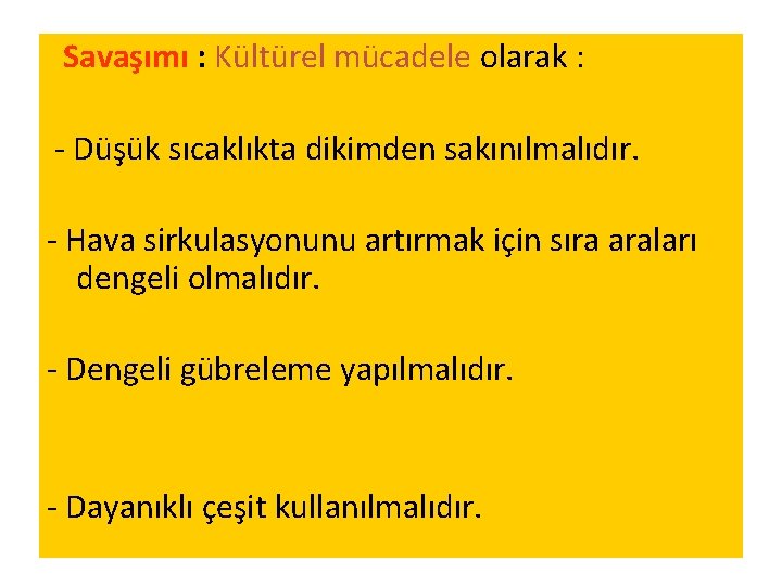 Savaşımı : Kültürel mücadele olarak : - Düşük sıcaklıkta dikimden sakınılmalıdır. - Hava sirkulasyonunu