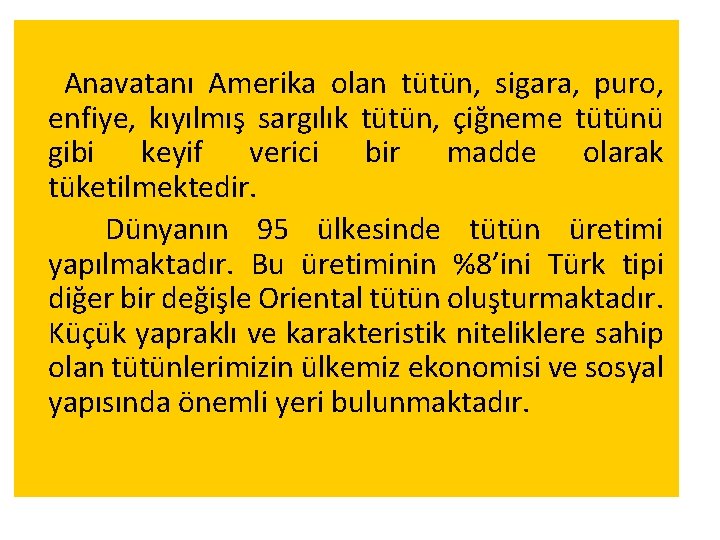 Anavatanı Amerika olan tütün, sigara, puro, enfiye, kıyılmış sargılık tütün, çiğneme tütünü gibi keyif