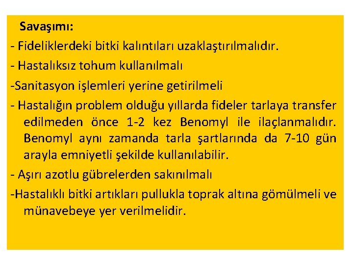 Savaşımı: - Fideliklerdeki bitki kalıntıları uzaklaştırılmalıdır. - Hastalıksız tohum kullanılmalı -Sanitasyon işlemleri yerine getirilmeli