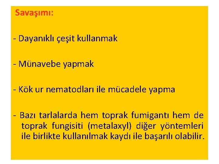 Savaşımı: - Dayanıklı çeşit kullanmak - Münavebe yapmak - Kök ur nematodları ile mücadele