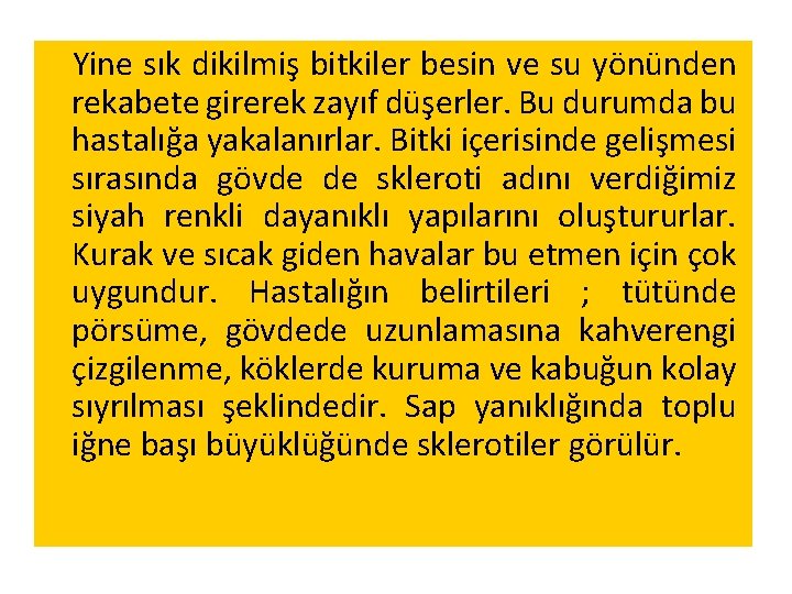 Yine sık dikilmiş bitkiler besin ve su yönünden rekabete girerek zayıf düşerler. Bu durumda