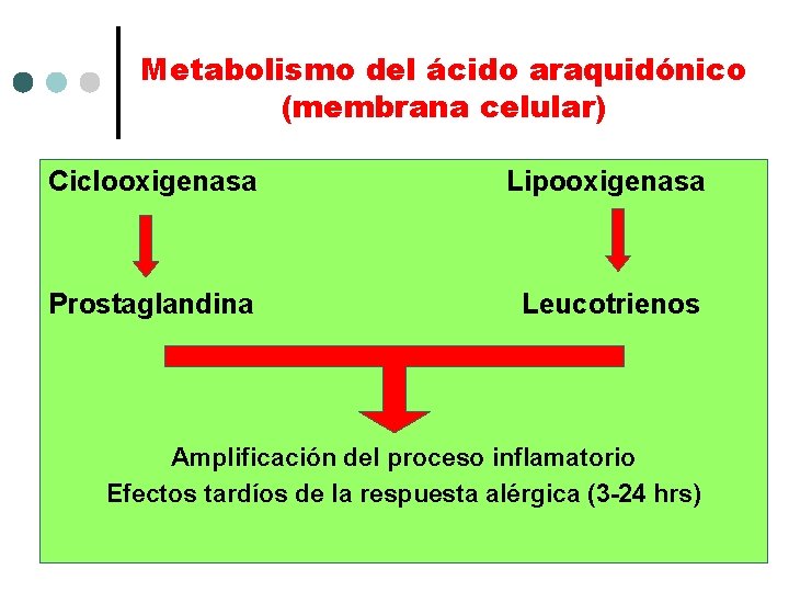 Metabolismo del ácido araquidónico (membrana celular) Ciclooxigenasa Lipooxigenasa Prostaglandina Leucotrienos Amplificación del proceso inflamatorio