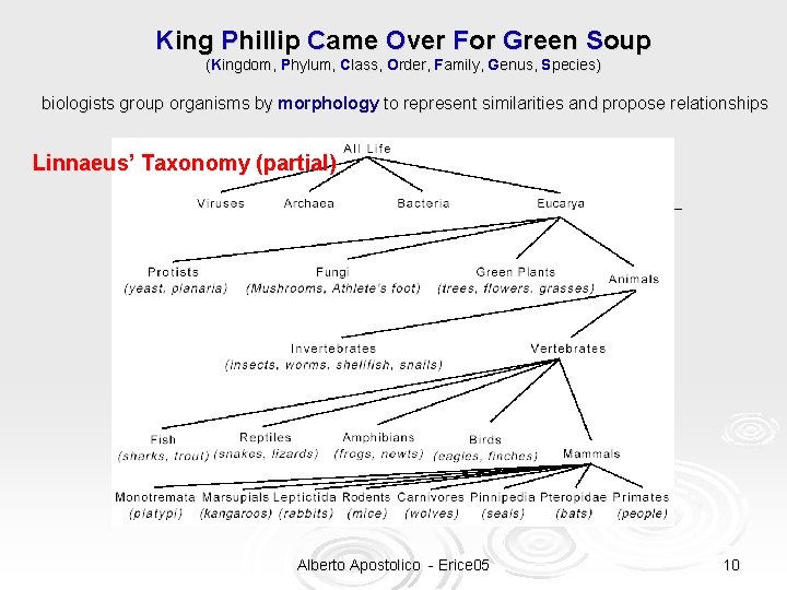 King Phillip Came Over For Green Soup (Kingdom, Phylum, Class, Order, Family, Genus, Species)