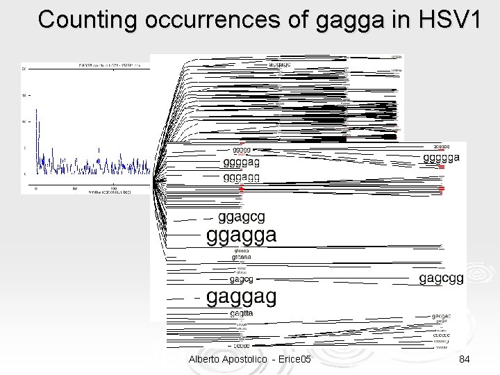 Counting occurrences of gagga in HSV 1 Alberto Apostolico - Erice 05 84 