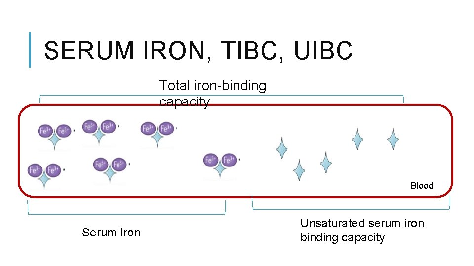 SERUM IRON, TIBC, UIBC Total iron-binding capacity Blood Serum Iron Unsaturated serum iron binding