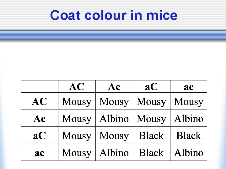Coat colour in mice 