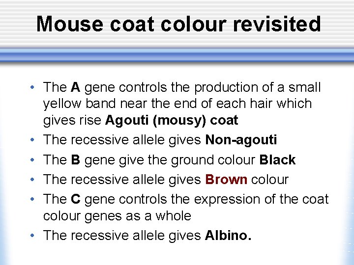 Mouse coat colour revisited • The A gene controls the production of a small