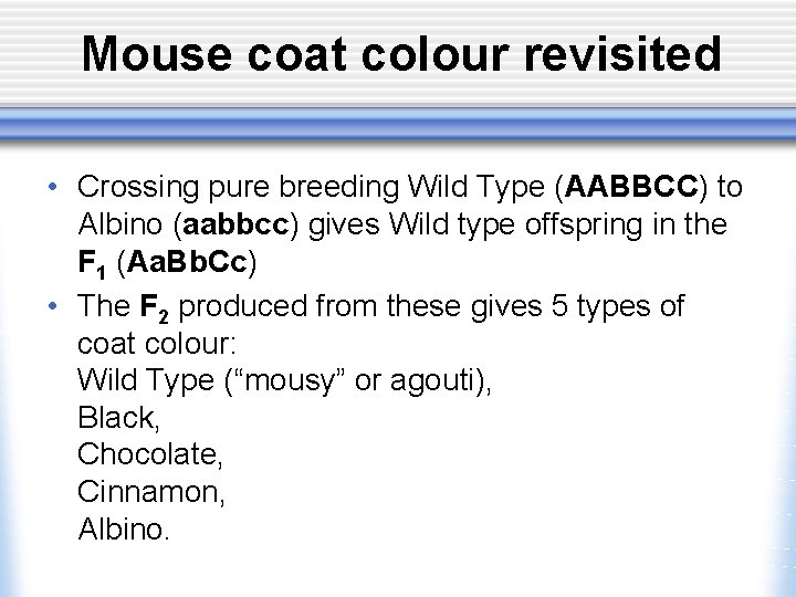 Mouse coat colour revisited • Crossing pure breeding Wild Type (AABBCC) to Albino (aabbcc)