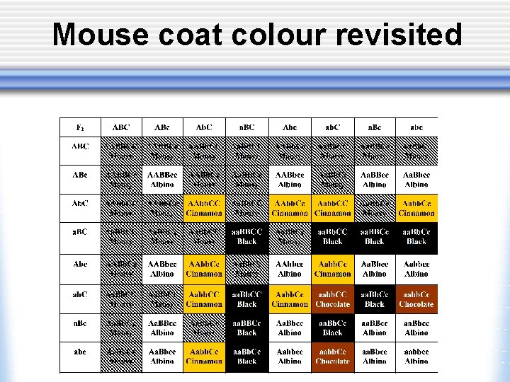 Mouse coat colour revisited 