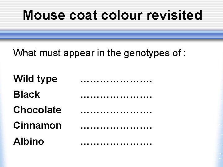 Mouse coat colour revisited What must appear in the genotypes of : Wild type