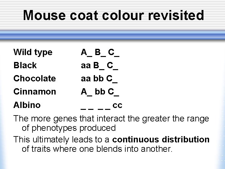 Mouse coat colour revisited Wild type A_ B_ C_ Black aa B_ C_ Chocolate