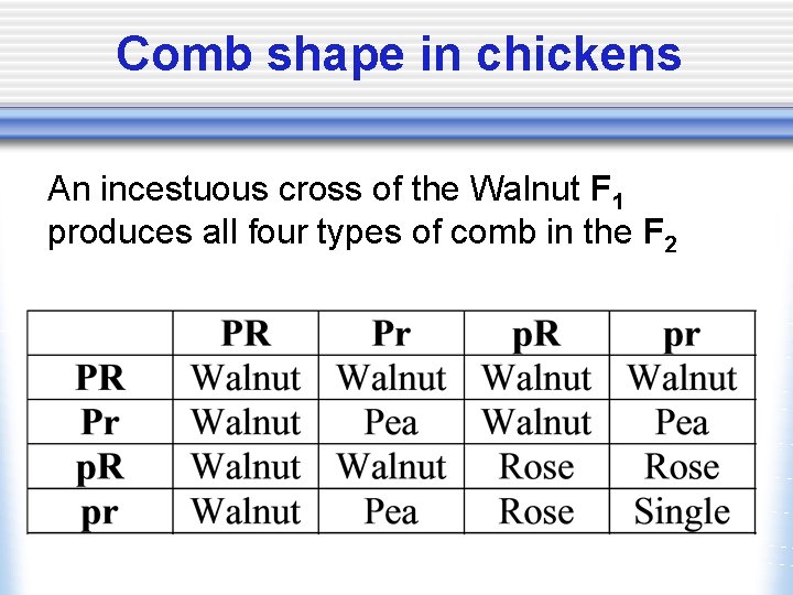 Comb shape in chickens An incestuous cross of the Walnut F 1 produces all