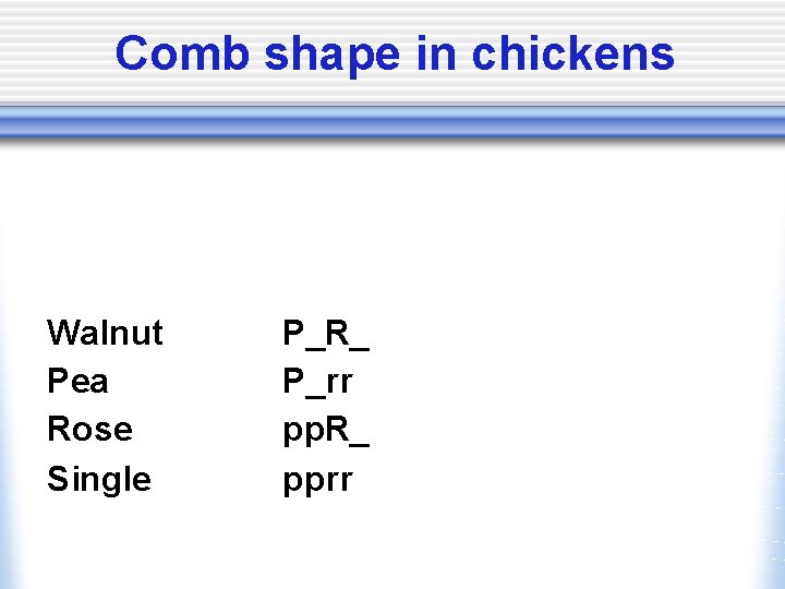 Comb shape in chickens Walnut Pea Rose Single P_R_ P_rr pp. R_ pprr 