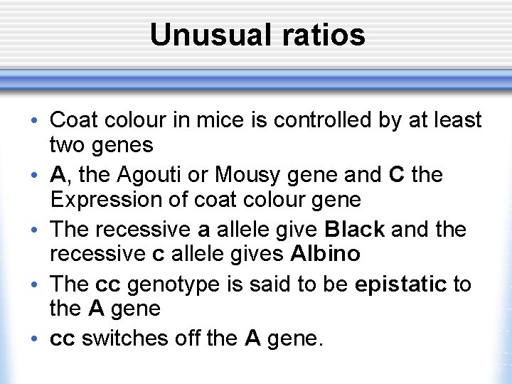 Unusual ratios • Coat colour in mice is controlled by at least two genes